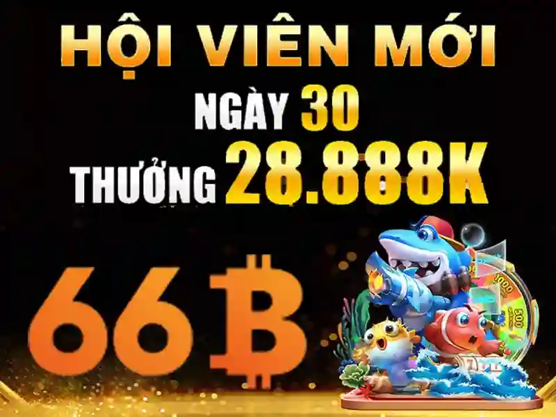 Sản phẩm và dịch vụ chính của 66b hạ long