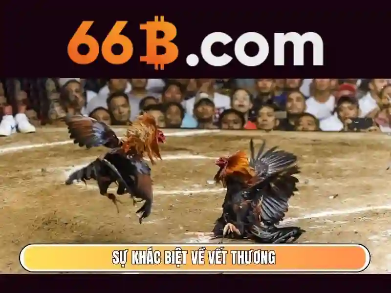 Nguồn gốc và sứ mệnh của 66b-nss