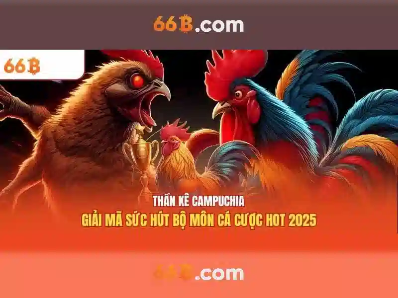 Phân tích dữ liệu liên quan đến 66b
