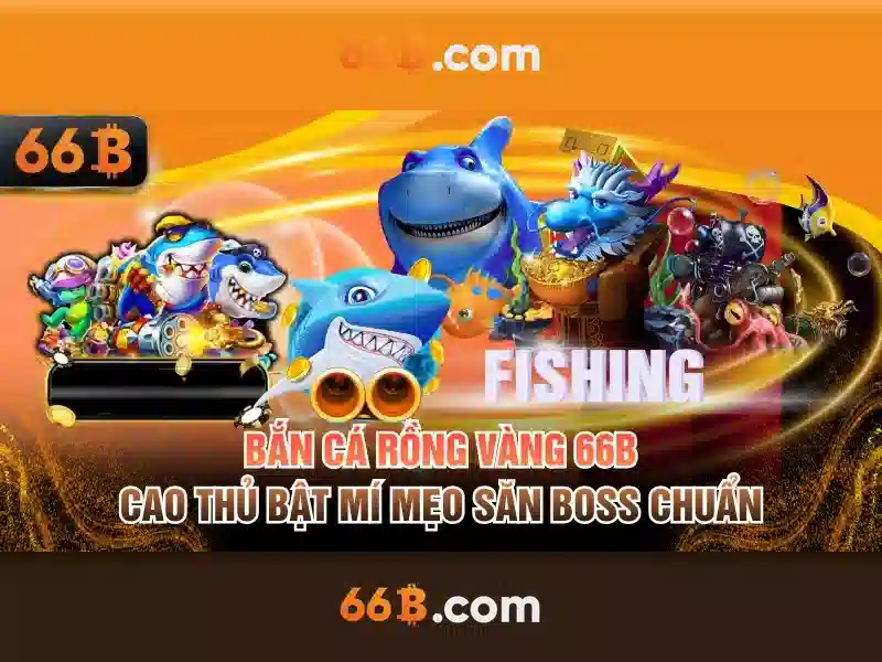 Giới thiệu về 66b