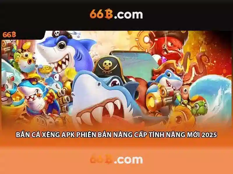 66b: một khái niệm và tác động