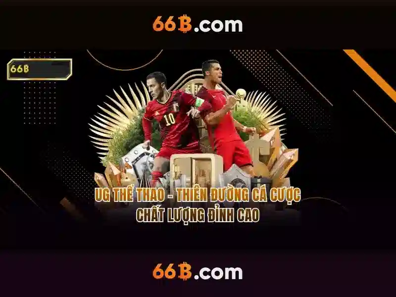 Ứng dụng của 66b trong doanh nghiệp