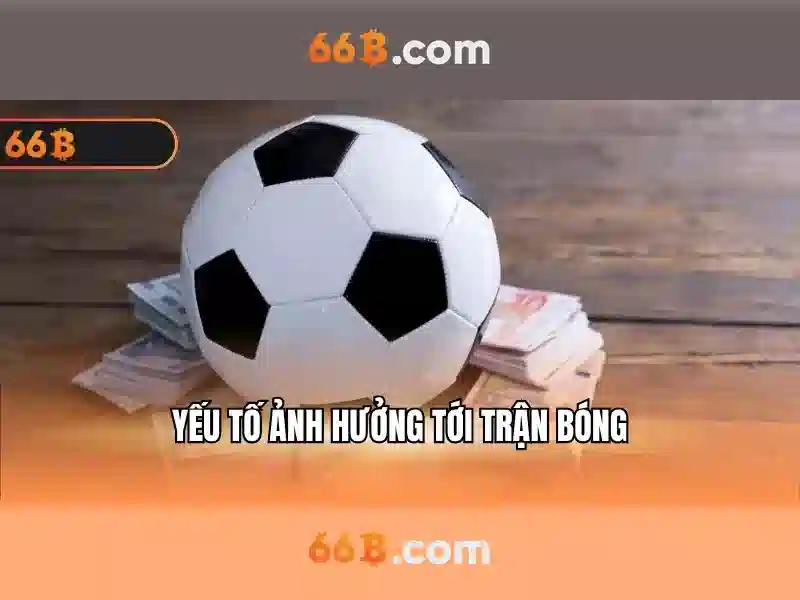 Ứng dụng của 66b trong cuộc sống hàng ngày