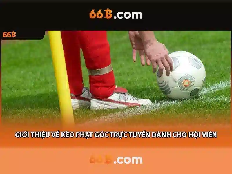 cd 66b pe – Trải nghiệm và giá trị thương hiệu