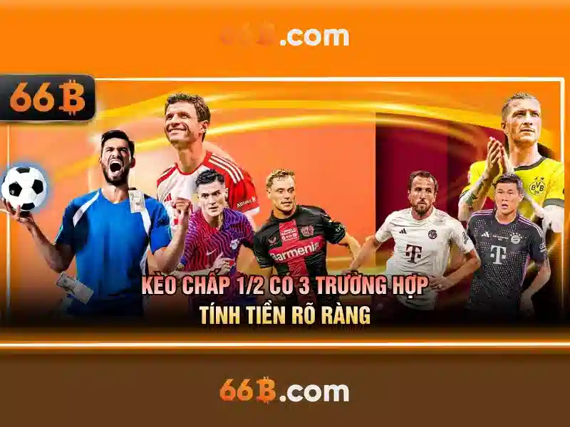 66B: Một mô hình lớn cho nhiều ứng dụng