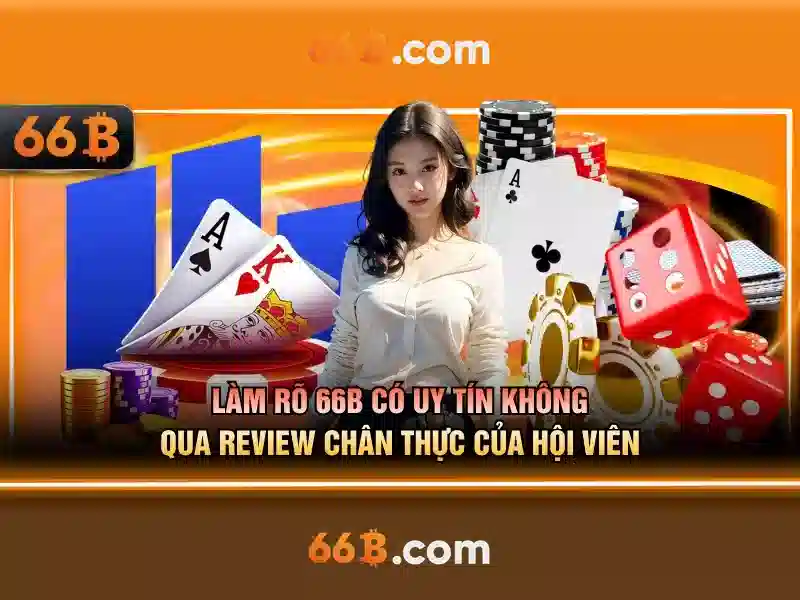 Trải nghiệm người dùng và Phản hồi