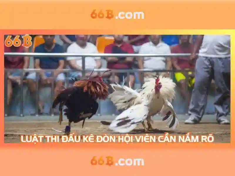 66b: hành trình của một mô hình ngôn ngữ tiên tiến