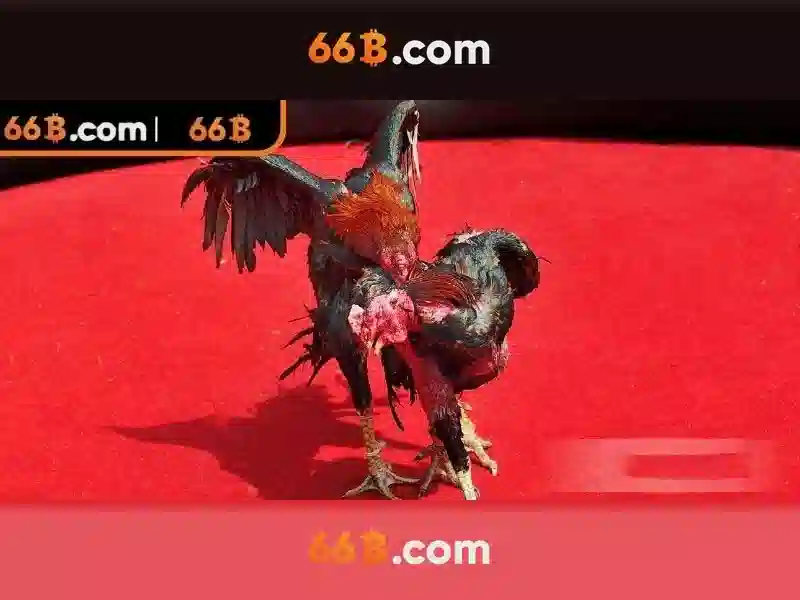 Nguồn gốc của 66b