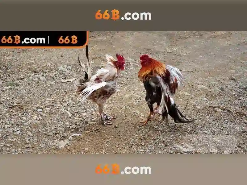 'Nguồn gốc từ khóa và sứ mệnh'