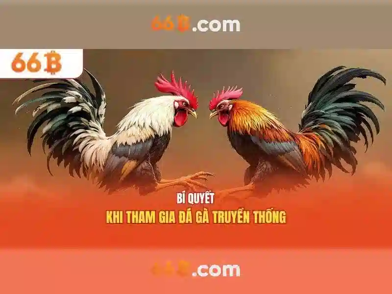 Đặc điểm nổi bật của 66B