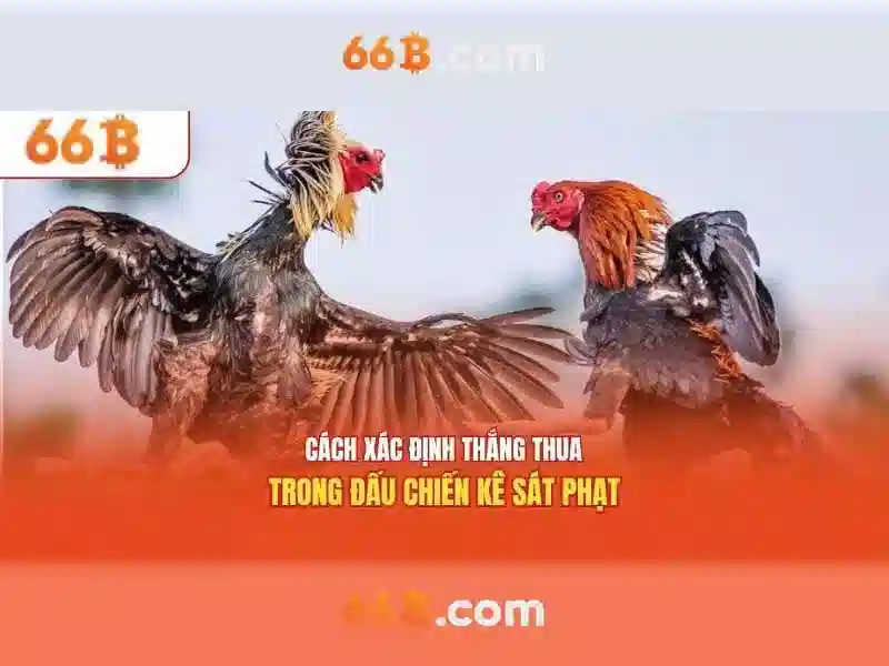 66B: Mô hình ngôn ngữ 66 tỷ tham số và tương lai AI