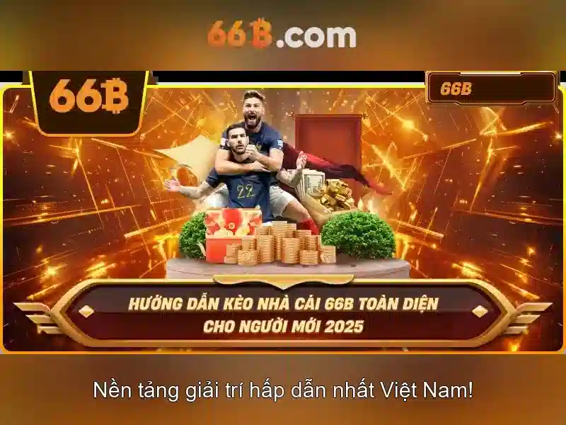66b là gì? Khám phá ý nghĩa và tác động
