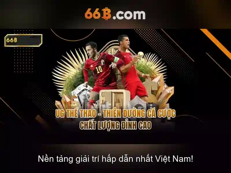 Về 66b: một cái nhìn tổng quan