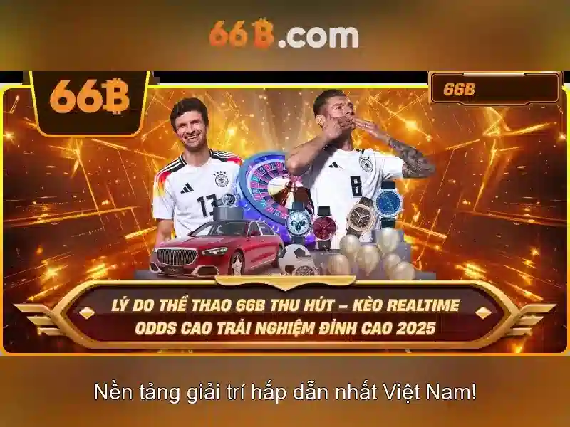 Định nghĩa và bối cảnh của 66B