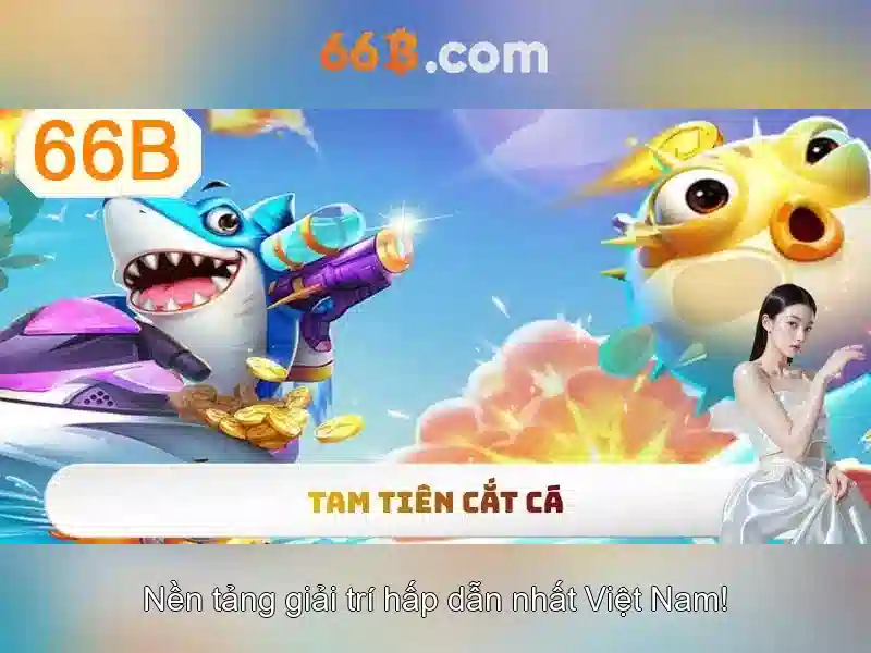 66b là gì? Khía cạnh và ứng dụng
