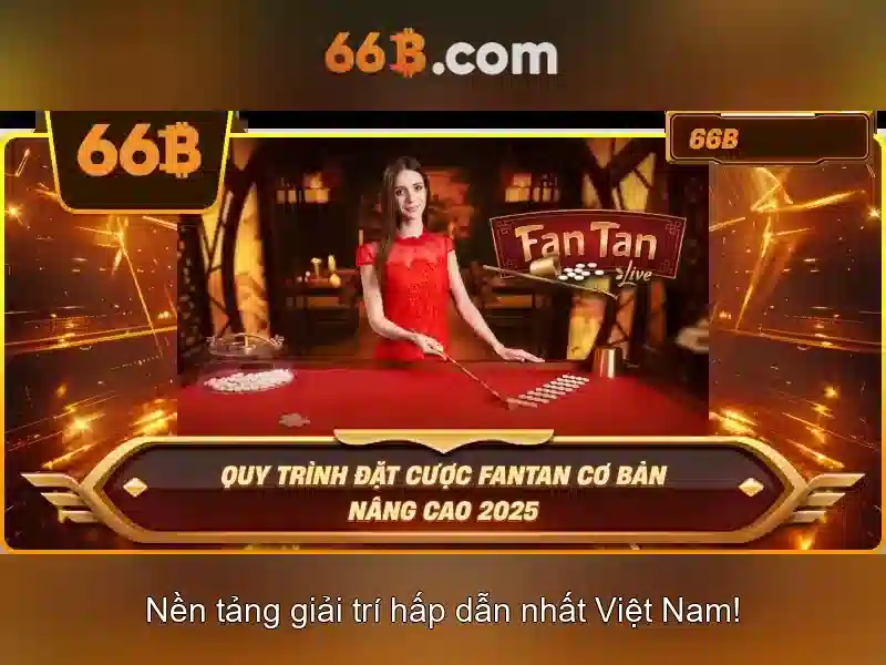 66b là gì và vai trò của nó trong CNTT