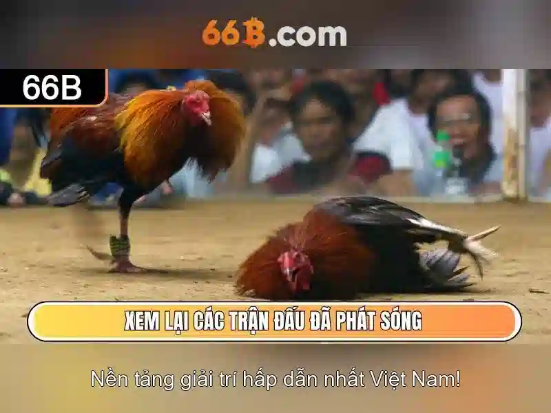Cách huấn luyện và dữ liệu