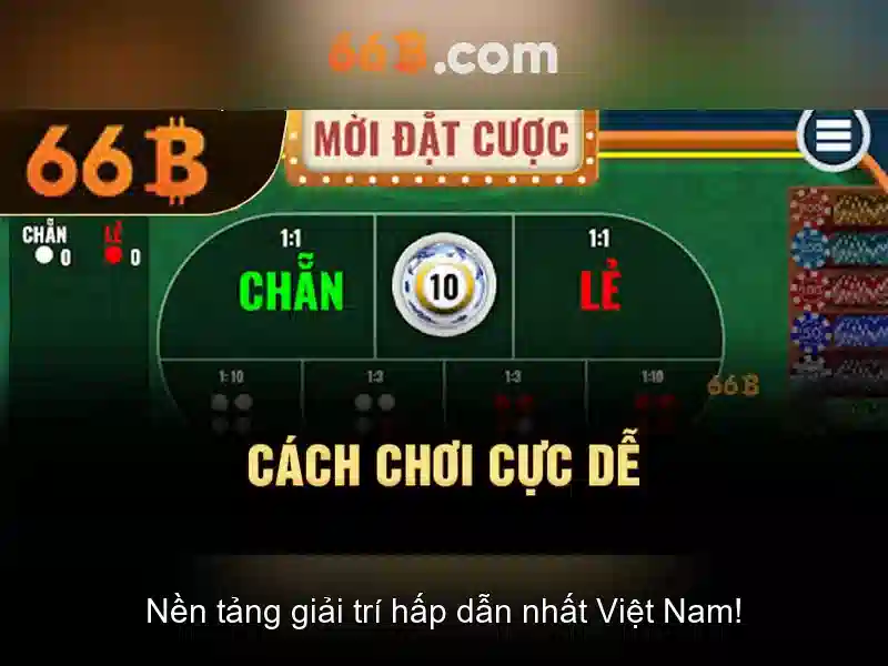 66B là gì?
