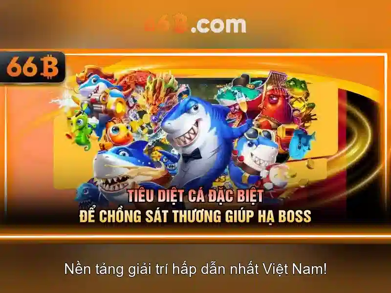 Khái niệm cơ bản về 66B