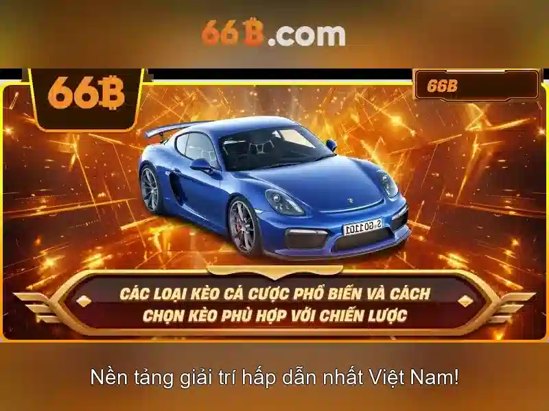 Triển khai và ảnh hưởng xã hội của 66b\n\n
