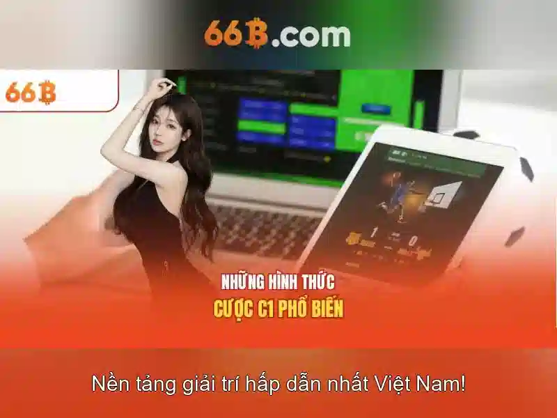 66B: Một cái nhìn tổng quan bằng tiếng Việt