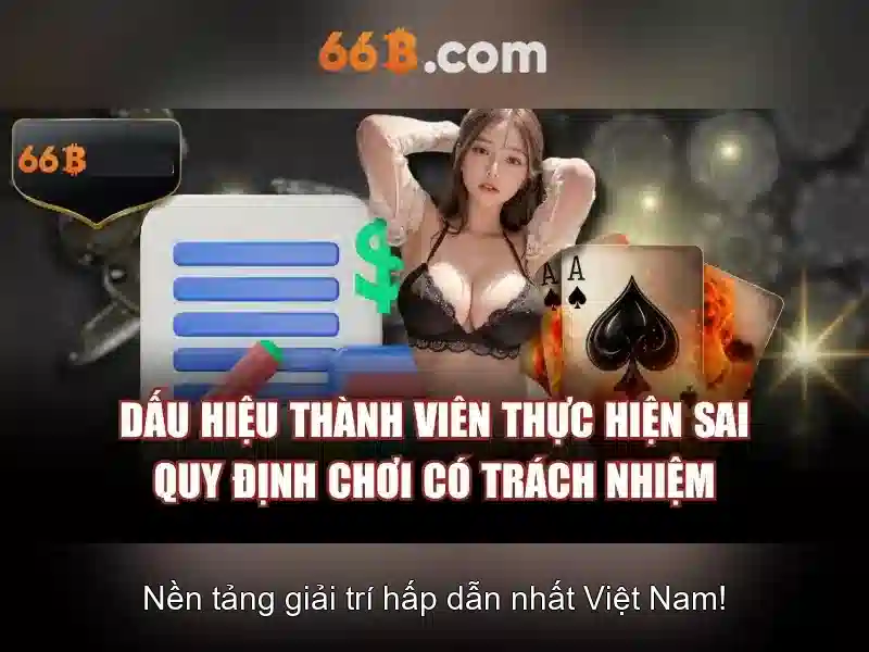 Những đặc trưng của 66b