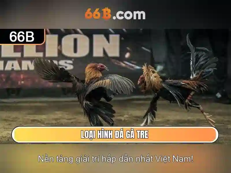 66b trong toán học và chuẩn hóa dữ liệu