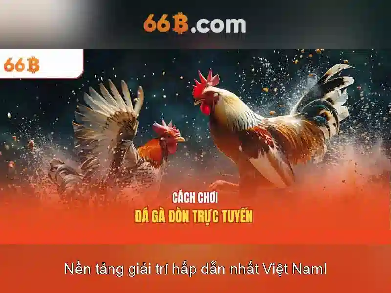 66B là gì trong hệ thống kích thước áo ngực