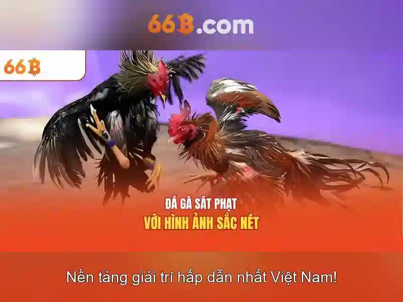 Kiến trúc và thông số