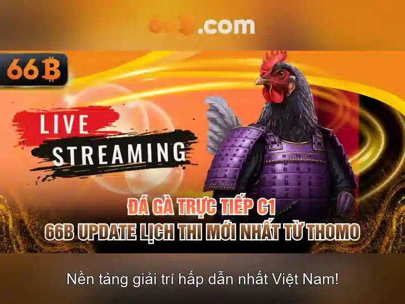 66B: Mô hình ngôn ngữ quy mô lớn và tác động của nó