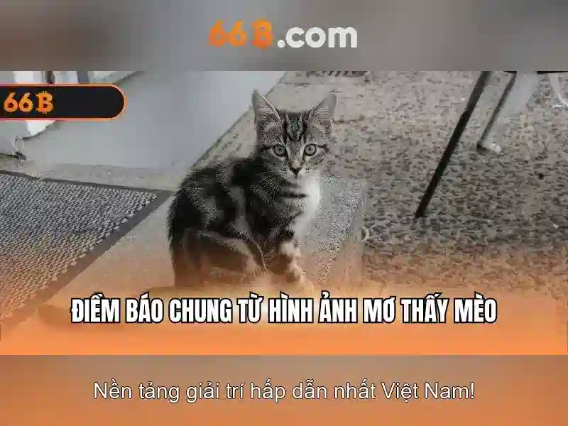 66B: Khai niem, cau tao va ung dung