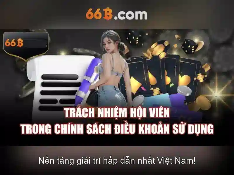 66B là gì