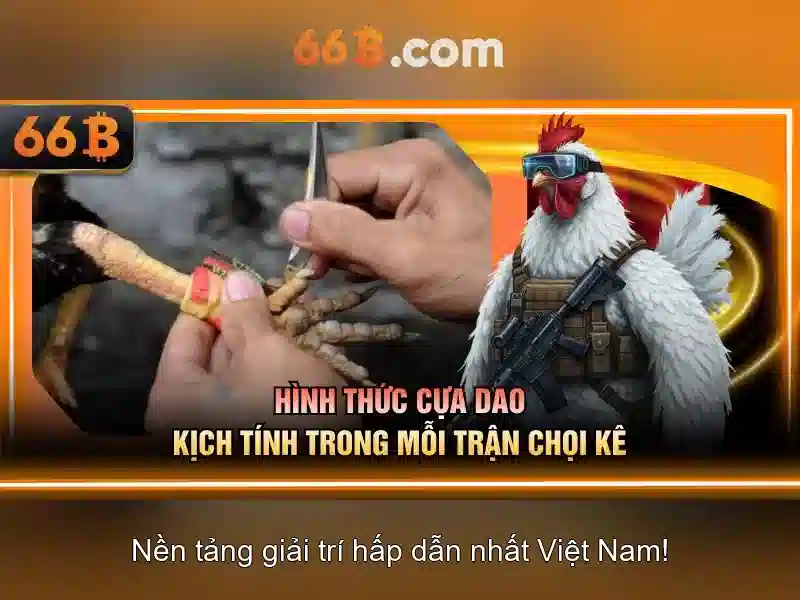 66b là gì và tầm ảnh hưởng của nó trong AI