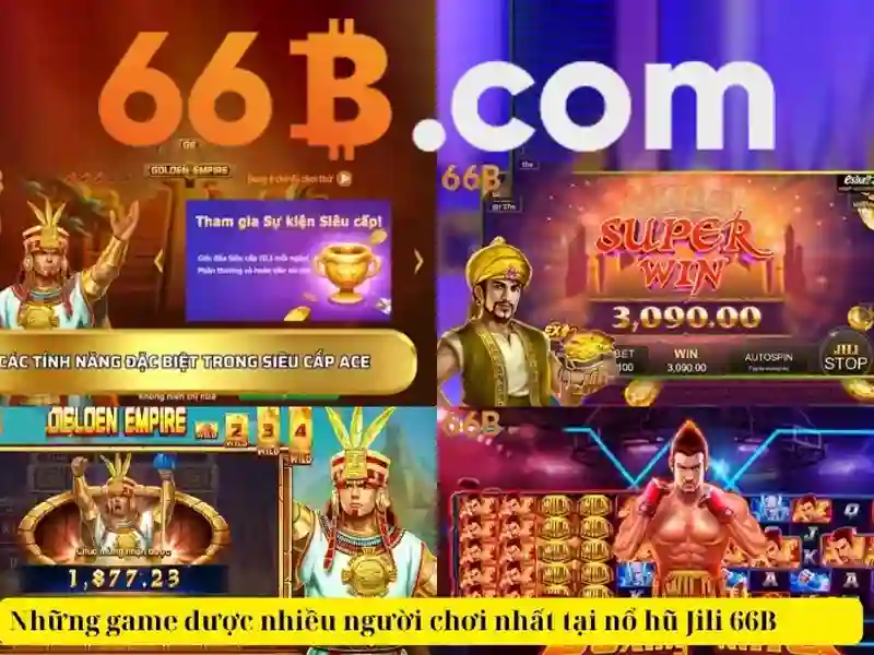 66B là gì