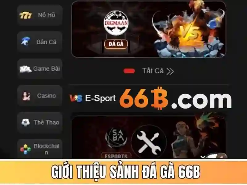 66b: một khái niệm và ứng dụng