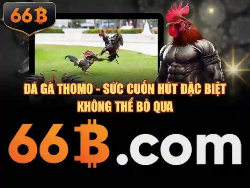 'trường con 66b nguyễn sỹ sách – Tổng quan chủ đề và giá trị cốt lõi'