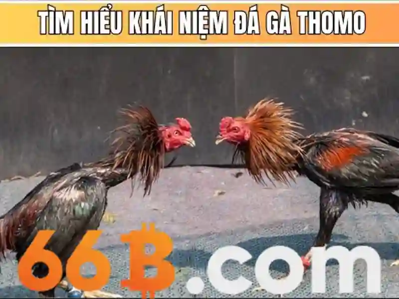 mậu binh 66b – trải nghiệm tối ưu và định vị thương hiệu