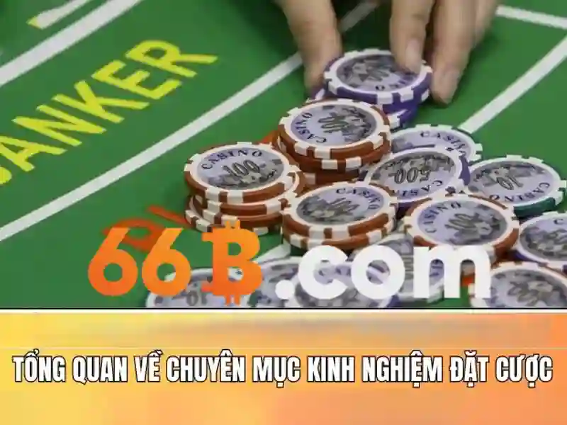 Đào tạo và dữ liệu