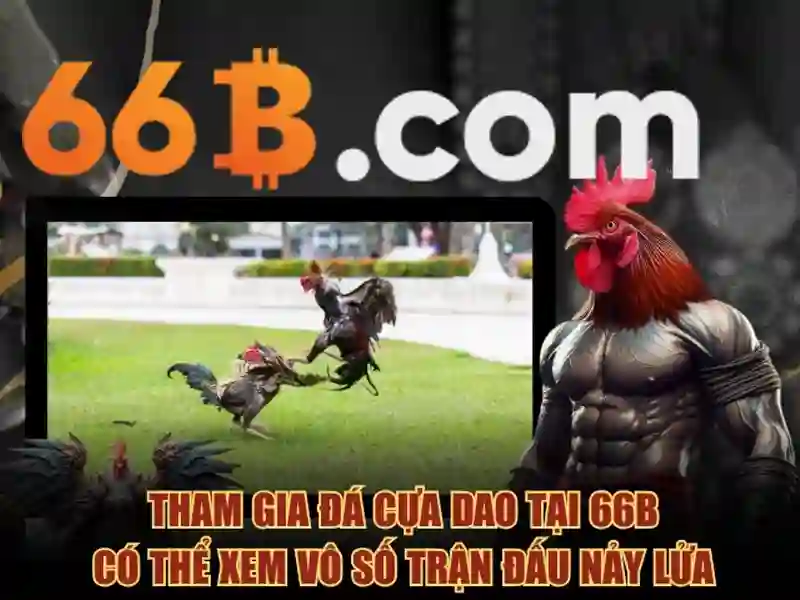 Tương lai và tầm nhìn