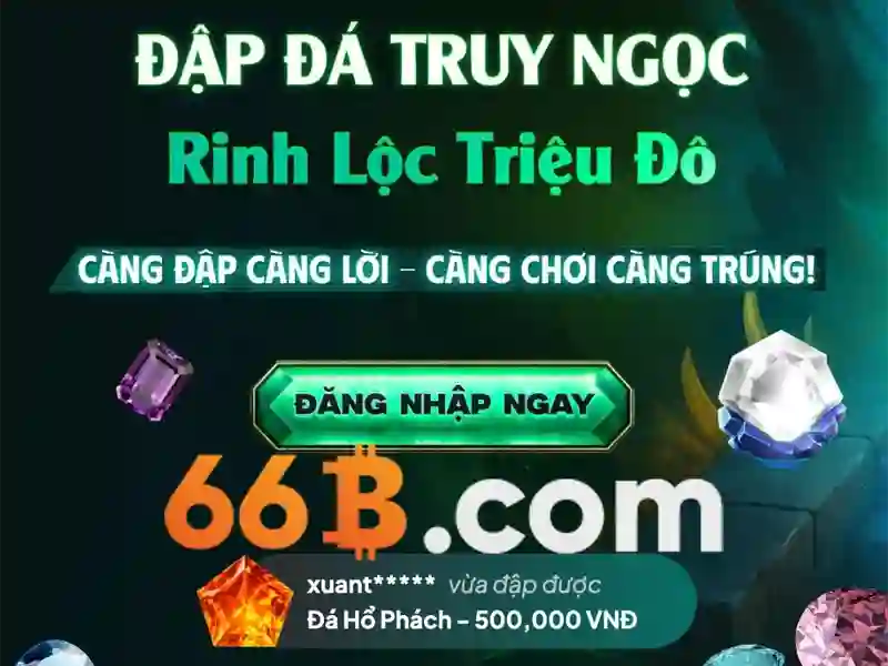66b: một khái niệm sáng tạo