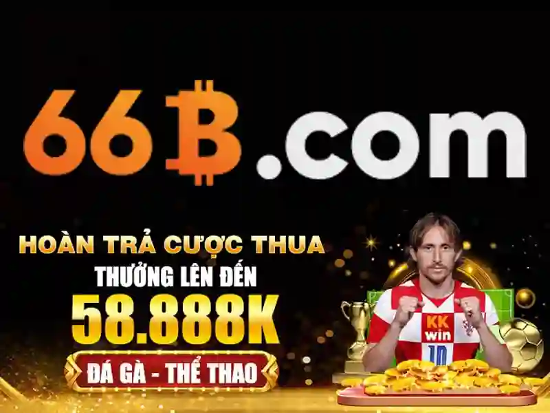 Giới thiệu về 66B